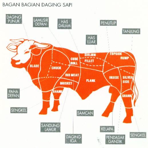 408501_533411150010237_1351054079_n